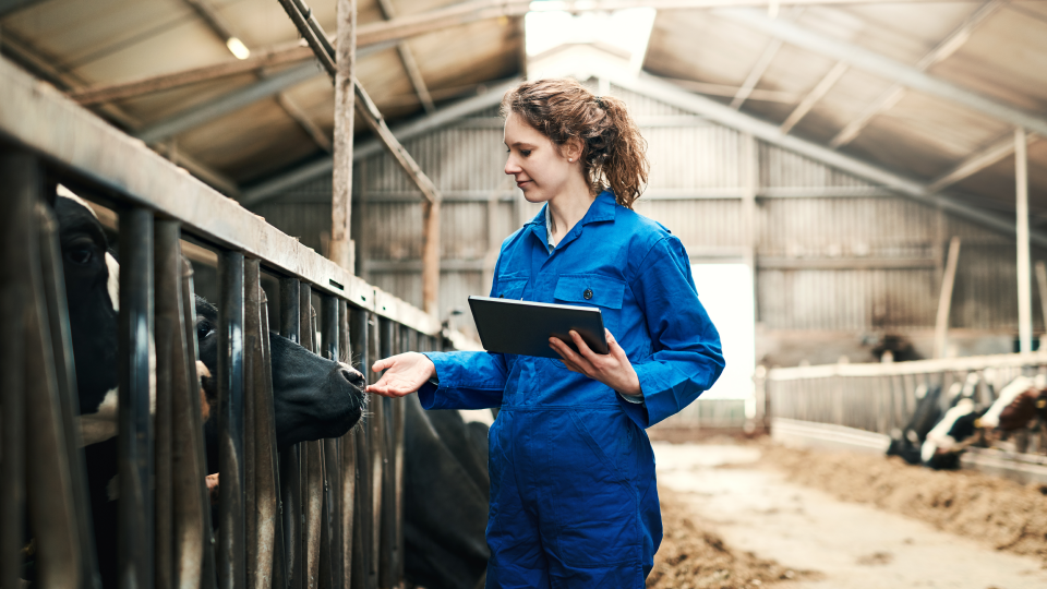 Productieve Investeringen Landbouw Groningen - Veelgestelde Vragen | SNN